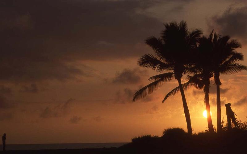 WT T08-05 Hawaii Sunset.jpg